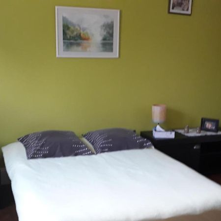 Appartement "Les Goumis" Baccarat Luaran gambar