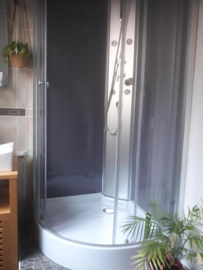 Appartement "Les Goumis" Baccarat Luaran gambar